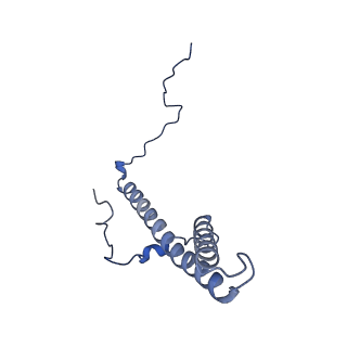 31881_7vbl_g_v1-0
Membrane arm of active state CI from DQ-NADH dataset