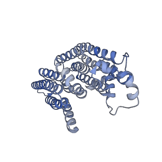 31881_7vbl_i_v1-0
Membrane arm of active state CI from DQ-NADH dataset