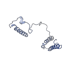 31881_7vbl_j_v1-0
Membrane arm of active state CI from DQ-NADH dataset