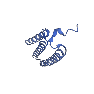 31881_7vbl_k_v1-0
Membrane arm of active state CI from DQ-NADH dataset