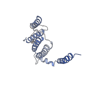 31881_7vbl_m_v1-0
Membrane arm of active state CI from DQ-NADH dataset