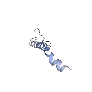 31881_7vbl_n_v1-0
Membrane arm of active state CI from DQ-NADH dataset