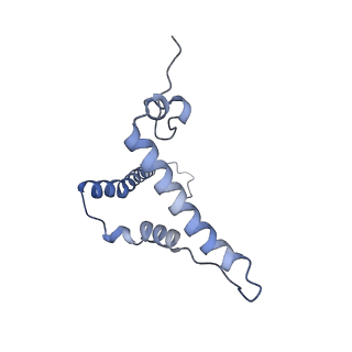 31881_7vbl_o_v1-0
Membrane arm of active state CI from DQ-NADH dataset