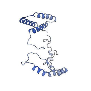 31881_7vbl_p_v1-0
Membrane arm of active state CI from DQ-NADH dataset