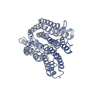 31881_7vbl_r_v1-0
Membrane arm of active state CI from DQ-NADH dataset