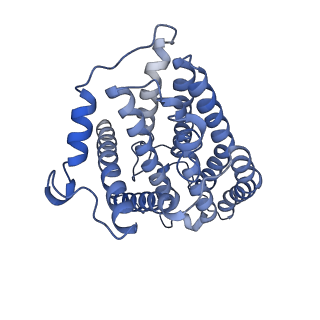 31881_7vbl_s_v1-0
Membrane arm of active state CI from DQ-NADH dataset