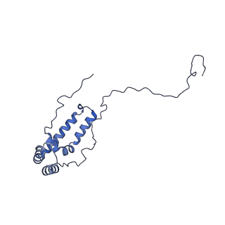 31881_7vbl_u_v1-0
Membrane arm of active state CI from DQ-NADH dataset