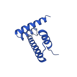 31882_7vbm_D_v1-1
The mouse nucleosome structure containing H3mm18 aided by PL2-6 scFv