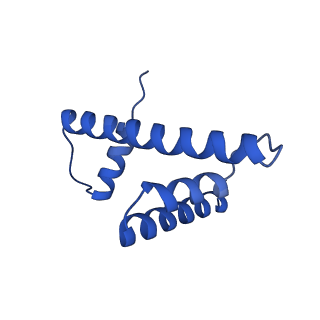 31882_7vbm_H_v1-1
The mouse nucleosome structure containing H3mm18 aided by PL2-6 scFv