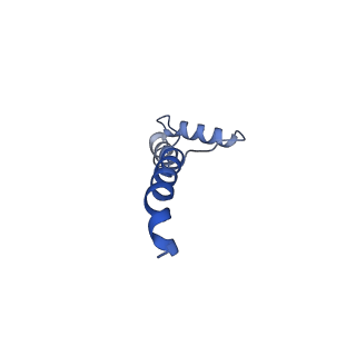 31884_7vbp_S_v1-0
Membrane arm of deactive state CI from DQ-NADH dataset