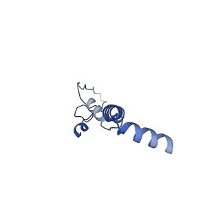 31884_7vbp_U_v1-0
Membrane arm of deactive state CI from DQ-NADH dataset