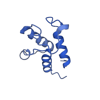 31884_7vbp_X_v1-0
Membrane arm of deactive state CI from DQ-NADH dataset