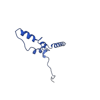 31884_7vbp_Z_v1-0
Membrane arm of deactive state CI from DQ-NADH dataset