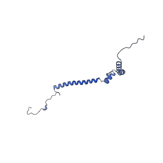 31884_7vbp_a_v1-0
Membrane arm of deactive state CI from DQ-NADH dataset