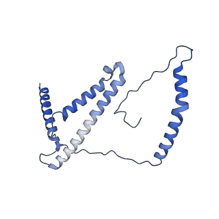 31884_7vbp_d_v1-0
Membrane arm of deactive state CI from DQ-NADH dataset