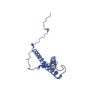 31884_7vbp_g_v1-0
Membrane arm of deactive state CI from DQ-NADH dataset