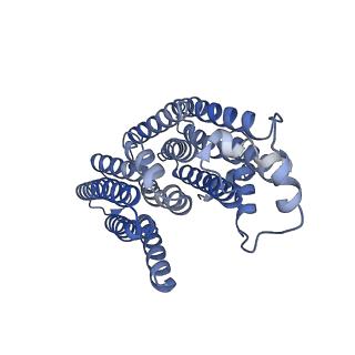31884_7vbp_i_v1-0
Membrane arm of deactive state CI from DQ-NADH dataset