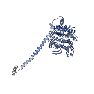 31884_7vbp_l_v1-0
Membrane arm of deactive state CI from DQ-NADH dataset
