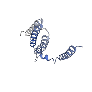 31884_7vbp_m_v1-0
Membrane arm of deactive state CI from DQ-NADH dataset