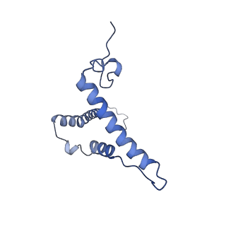 31884_7vbp_o_v1-0
Membrane arm of deactive state CI from DQ-NADH dataset