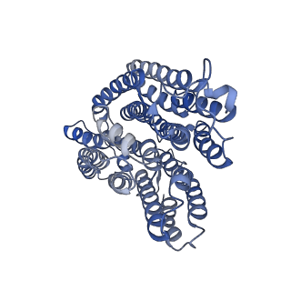 31884_7vbp_r_v1-0
Membrane arm of deactive state CI from DQ-NADH dataset