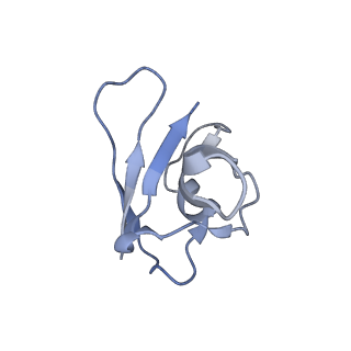 21148_6vcc_A_v1-1
Cryo-EM structure of the Dvl2 DIX filament