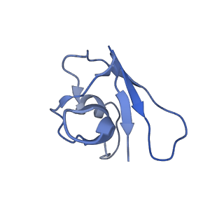 21148_6vcc_D_v1-1
Cryo-EM structure of the Dvl2 DIX filament