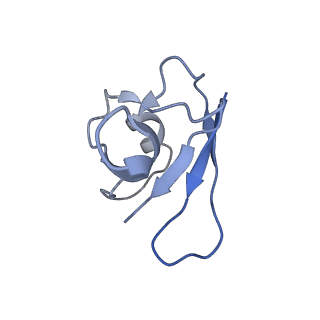 21148_6vcc_E_v1-1
Cryo-EM structure of the Dvl2 DIX filament