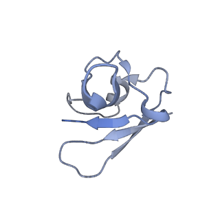 21148_6vcc_F_v1-1
Cryo-EM structure of the Dvl2 DIX filament