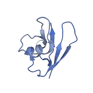 21148_6vcc_G_v1-1
Cryo-EM structure of the Dvl2 DIX filament