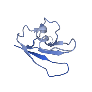 21148_6vcc_I_v1-1
Cryo-EM structure of the Dvl2 DIX filament