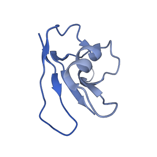 21148_6vcc_J_v1-1
Cryo-EM structure of the Dvl2 DIX filament