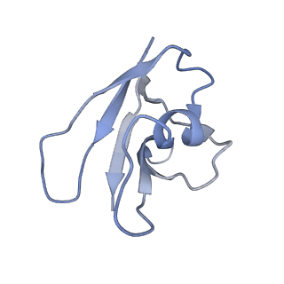 21148_6vcc_K_v1-1
Cryo-EM structure of the Dvl2 DIX filament