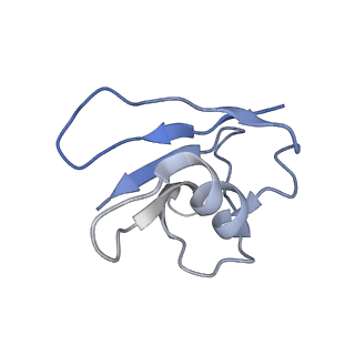 21148_6vcc_L_v1-1
Cryo-EM structure of the Dvl2 DIX filament