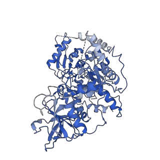 21149_6vcd_A_v1-1
Cryo-EM structure of IRP2-FBXL5-SKP1 complex