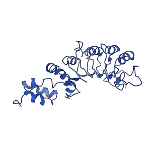 21149_6vcd_B_v1-1
Cryo-EM structure of IRP2-FBXL5-SKP1 complex