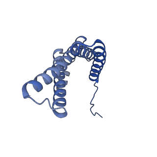 31887_7vc0_V_v1-0
Membrane arm of active state CI from Rotenone-NADH dataset