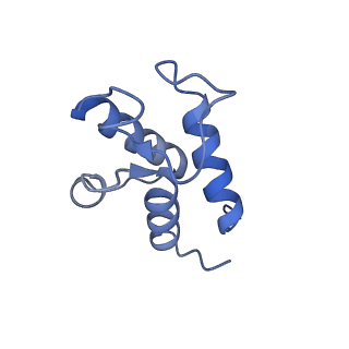 31887_7vc0_X_v1-0
Membrane arm of active state CI from Rotenone-NADH dataset