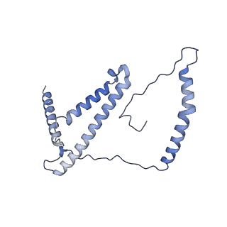 31887_7vc0_d_v1-0
Membrane arm of active state CI from Rotenone-NADH dataset