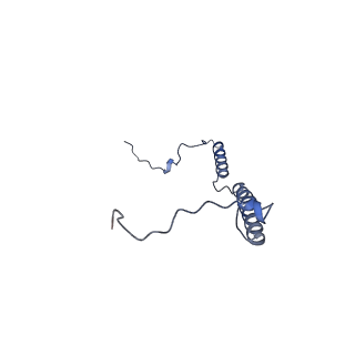 31887_7vc0_e_v1-0
Membrane arm of active state CI from Rotenone-NADH dataset
