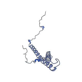 31887_7vc0_g_v1-0
Membrane arm of active state CI from Rotenone-NADH dataset