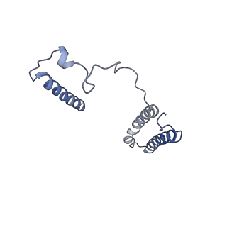 31887_7vc0_j_v1-0
Membrane arm of active state CI from Rotenone-NADH dataset