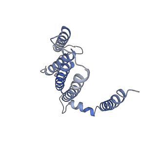 31887_7vc0_m_v1-0
Membrane arm of active state CI from Rotenone-NADH dataset