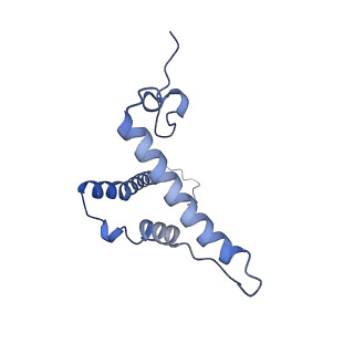 31887_7vc0_o_v1-0
Membrane arm of active state CI from Rotenone-NADH dataset