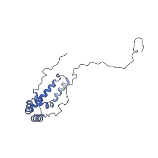 31887_7vc0_u_v1-0
Membrane arm of active state CI from Rotenone-NADH dataset