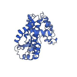 31887_7vc0_w_v1-0
Membrane arm of active state CI from Rotenone-NADH dataset