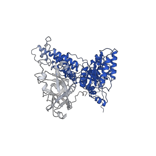 31894_7vcs_A_v1-1
Human p97 double hexamer conformer II with ATPgammaS bound