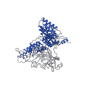 31894_7vcs_B_v1-1
Human p97 double hexamer conformer II with ATPgammaS bound