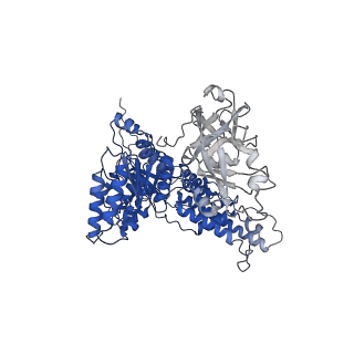 31894_7vcs_D_v1-1
Human p97 double hexamer conformer II with ATPgammaS bound