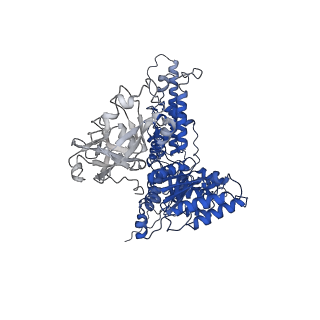 31894_7vcs_F_v1-1
Human p97 double hexamer conformer II with ATPgammaS bound